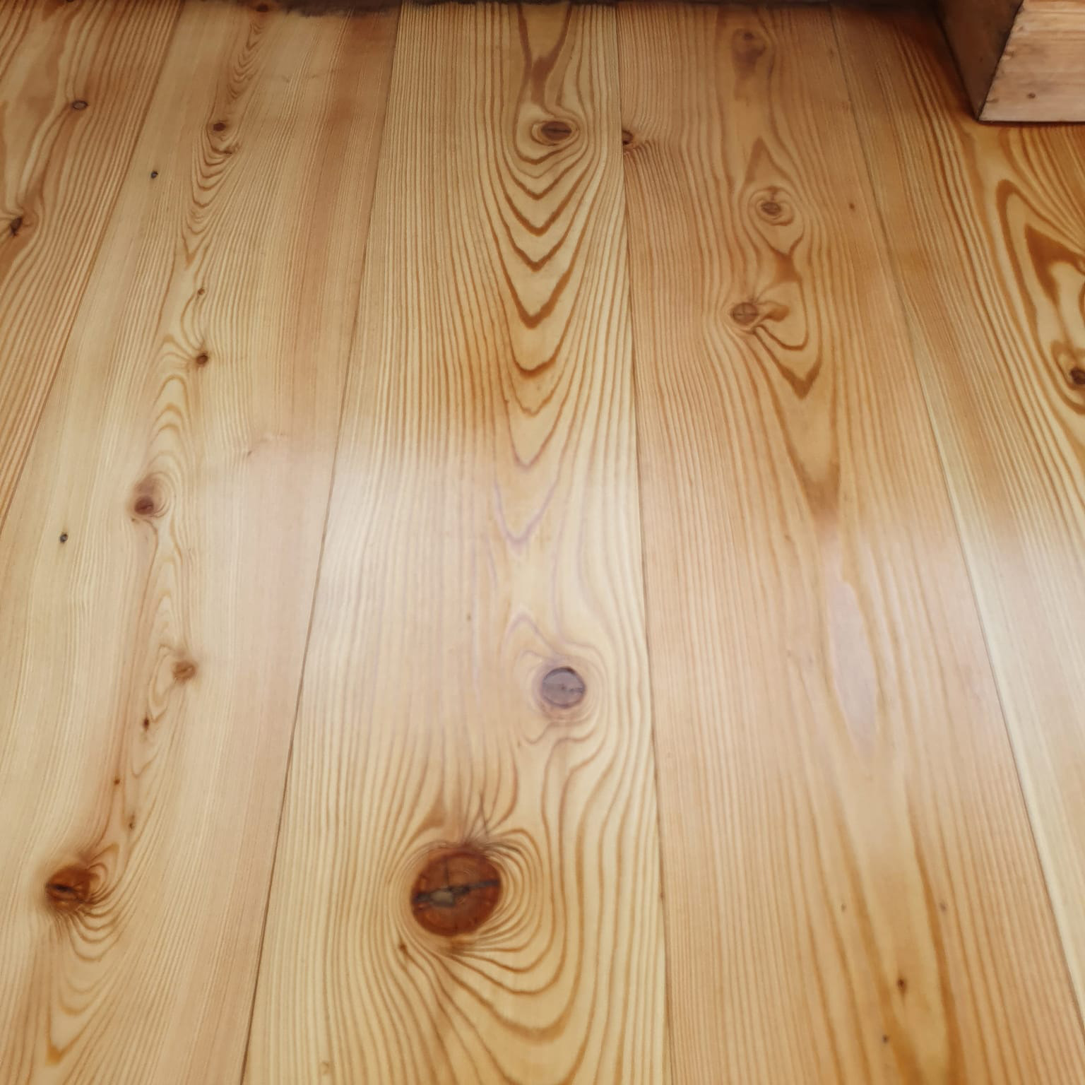 Sanded and polished hard wood floor