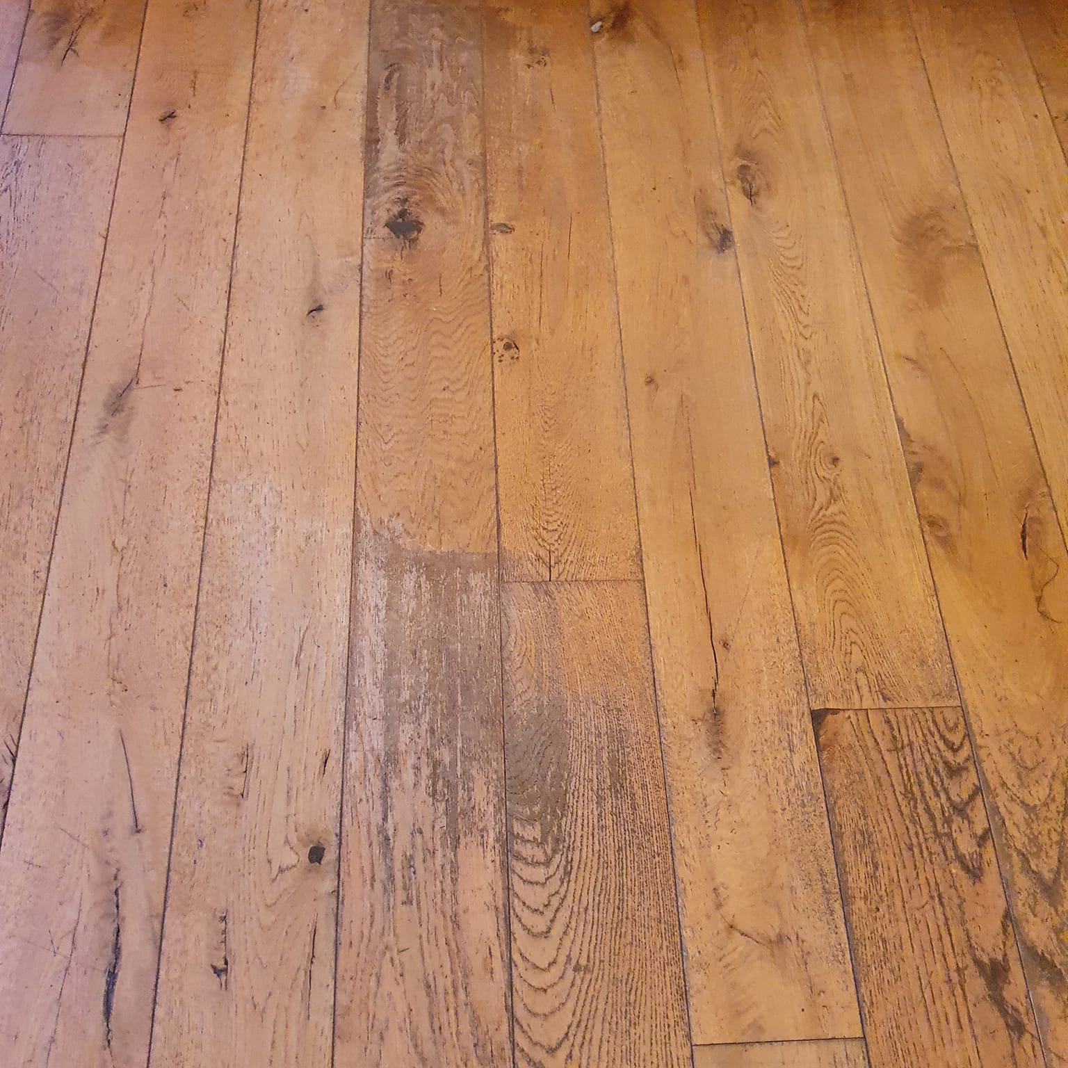 Hard wood floor with scratches and damage
